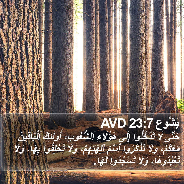 يَشُوع 23:7 AVD Bible Study