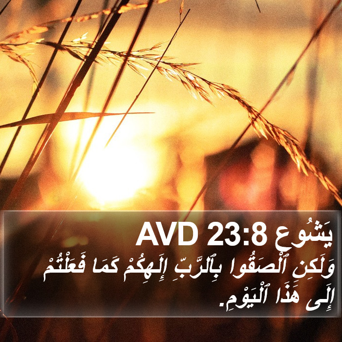 يَشُوع 23:8 AVD Bible Study