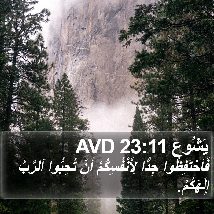 يَشُوع 23:11 AVD Bible Study