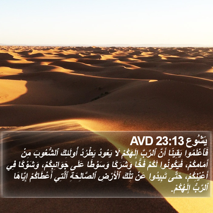 يَشُوع 23:13 AVD Bible Study