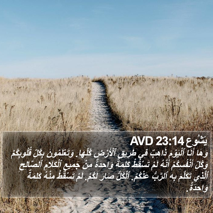 يَشُوع 23:14 AVD Bible Study