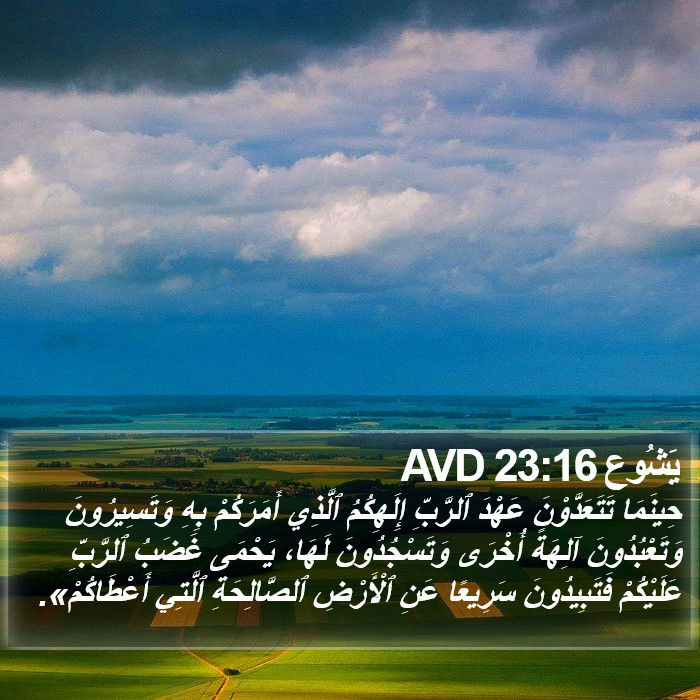 يَشُوع 23:16 AVD Bible Study