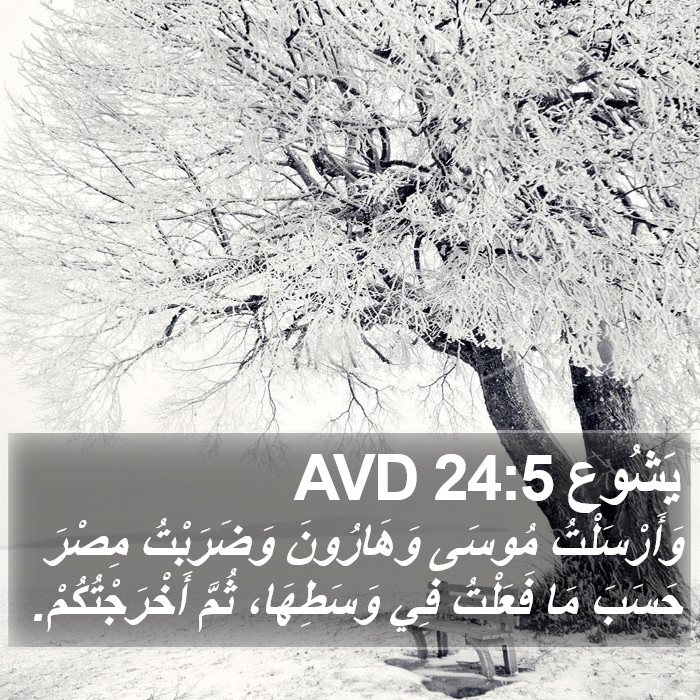 يَشُوع 24:5 AVD Bible Study