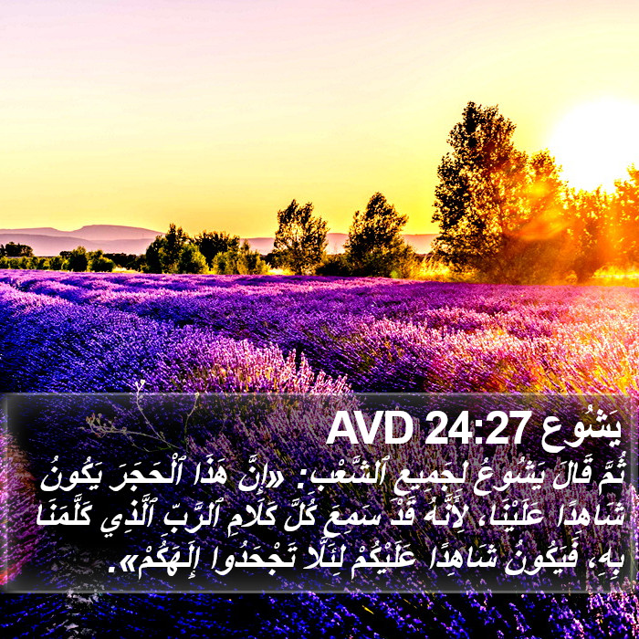 يَشُوع 24:27 AVD Bible Study