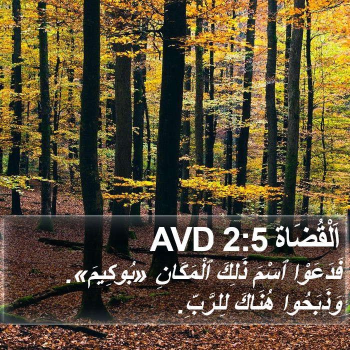 اَلْقُضَاة 2:5 AVD Bible Study