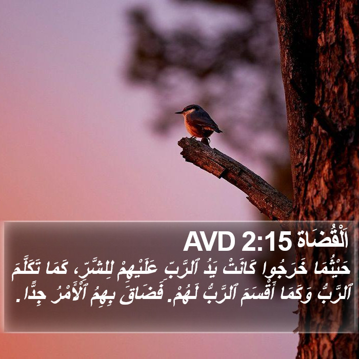 اَلْقُضَاة 2:15 AVD Bible Study