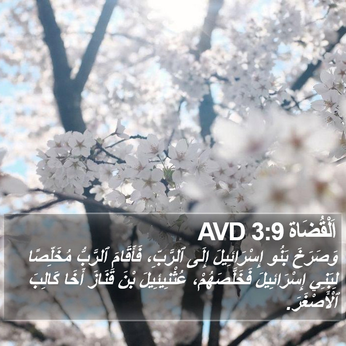 اَلْقُضَاة 3:9 AVD Bible Study