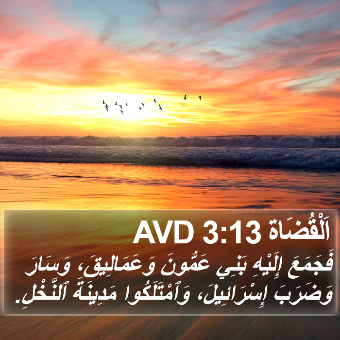 اَلْقُضَاة 3:13 AVD Bible Study