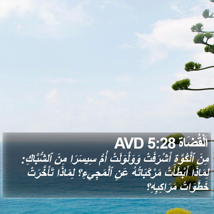 اَلْقُضَاة 5:28 AVD Bible Study