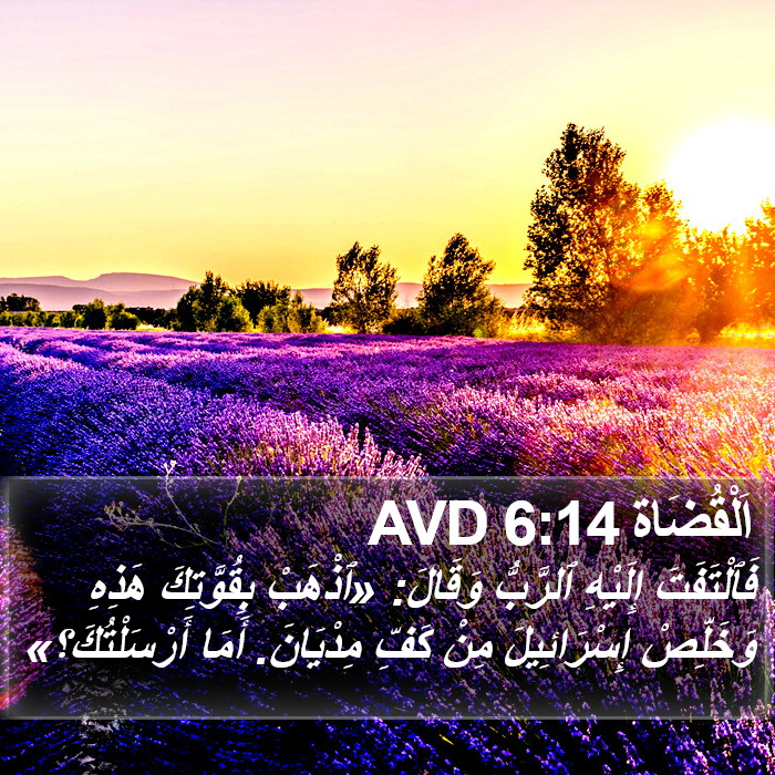اَلْقُضَاة 6:14 AVD Bible Study