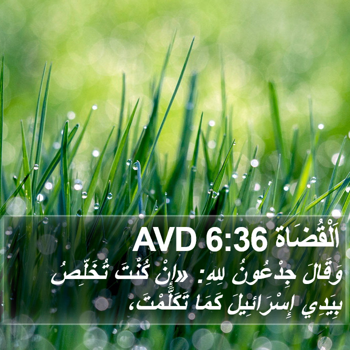 اَلْقُضَاة 6:36 AVD Bible Study