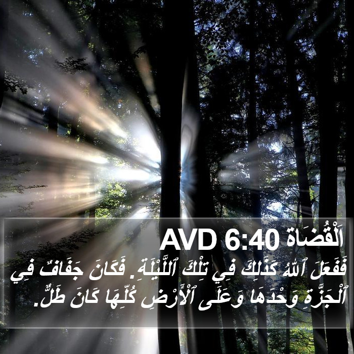 اَلْقُضَاة 6:40 AVD Bible Study
