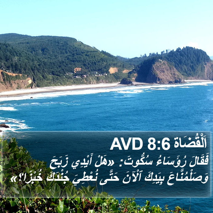 اَلْقُضَاة 8:6 AVD Bible Study