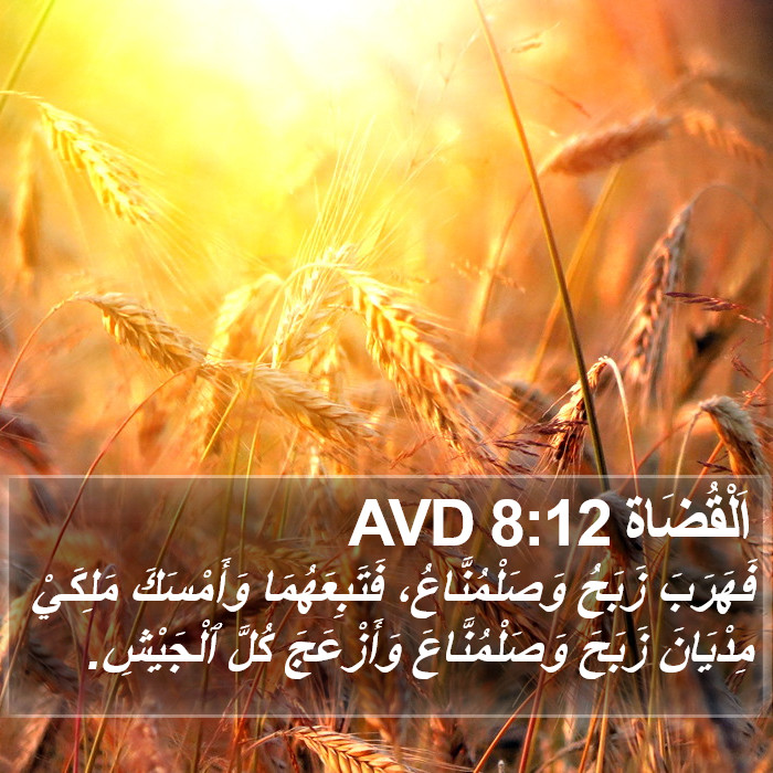 اَلْقُضَاة 8:12 AVD Bible Study