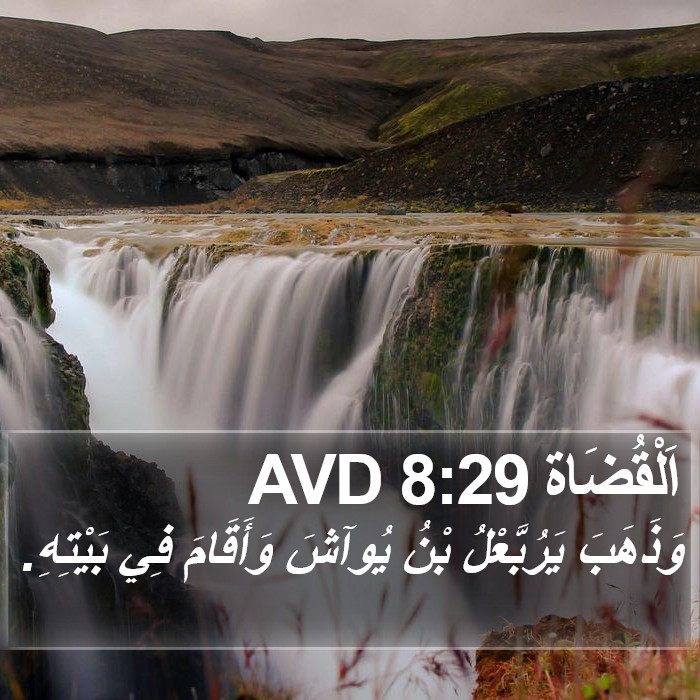 اَلْقُضَاة 8:29 AVD Bible Study