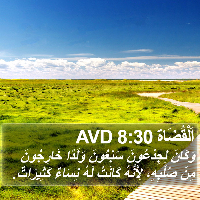 اَلْقُضَاة 8:30 AVD Bible Study