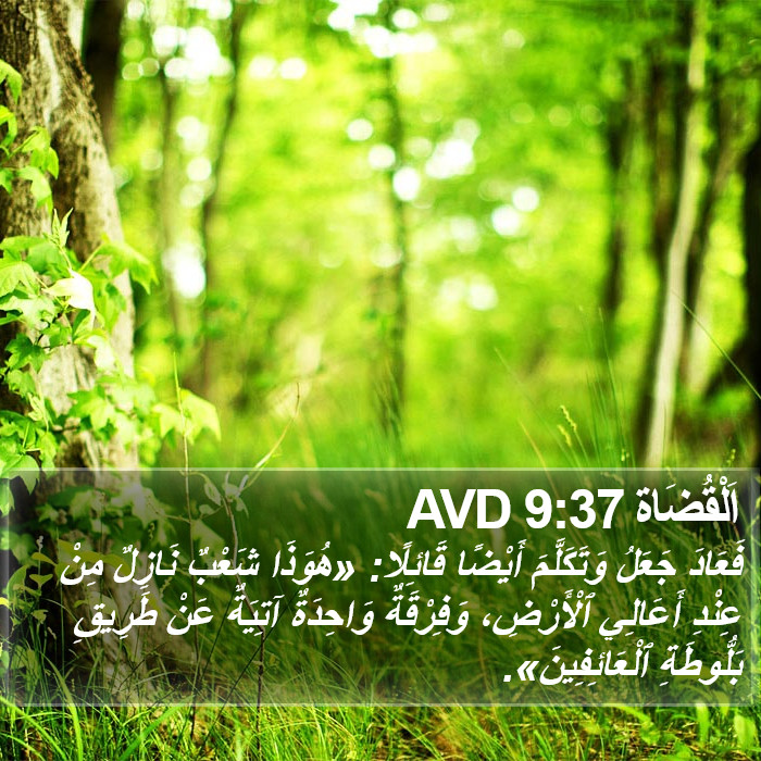 اَلْقُضَاة 9:37 AVD Bible Study