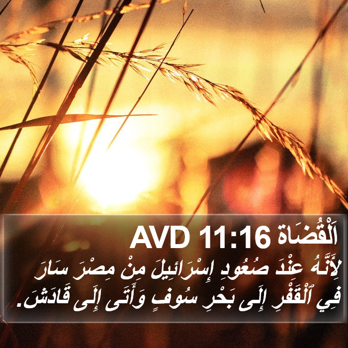 اَلْقُضَاة 11:16 AVD Bible Study
