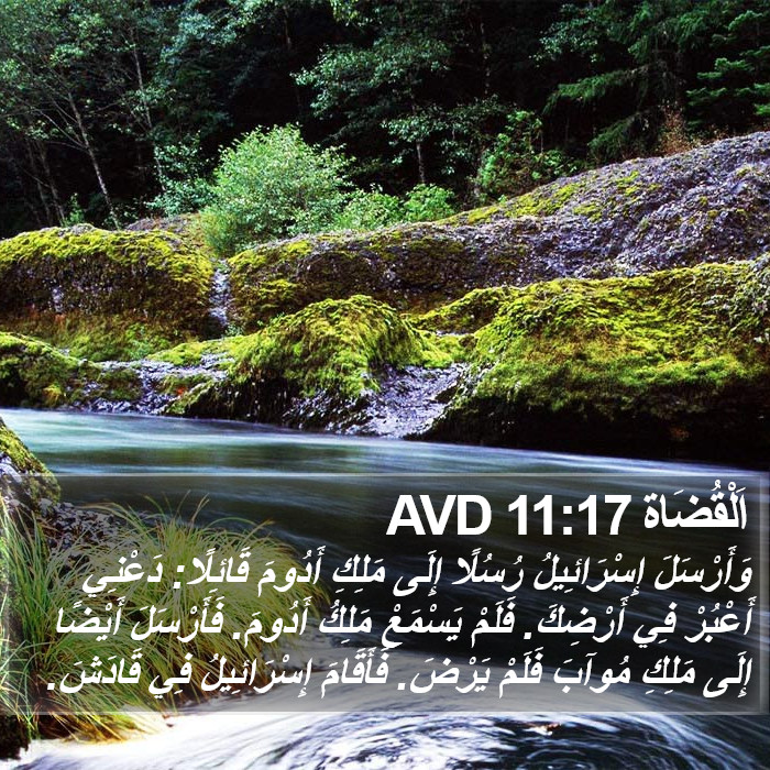 اَلْقُضَاة 11:17 AVD Bible Study