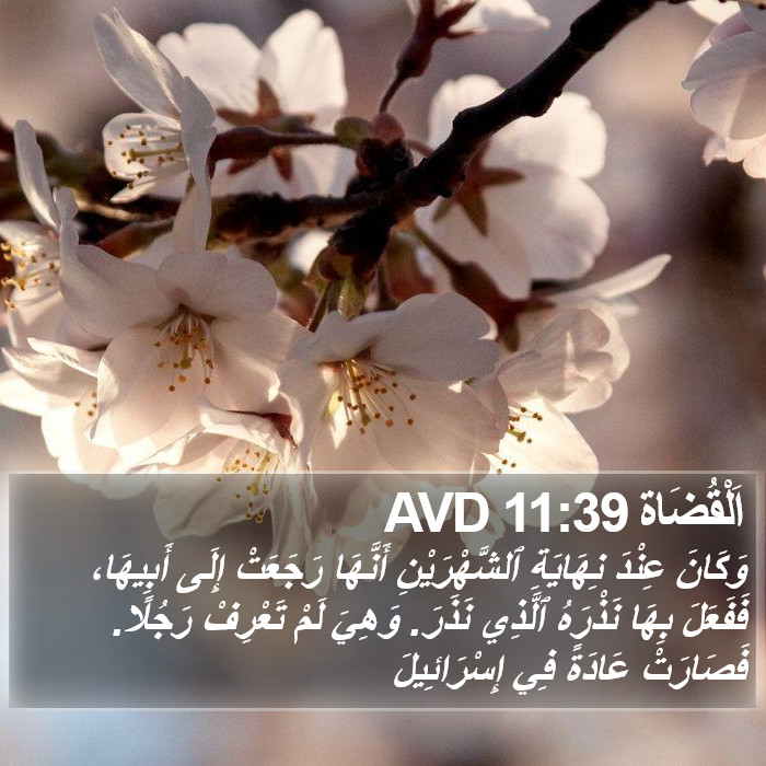 اَلْقُضَاة 11:39 AVD Bible Study