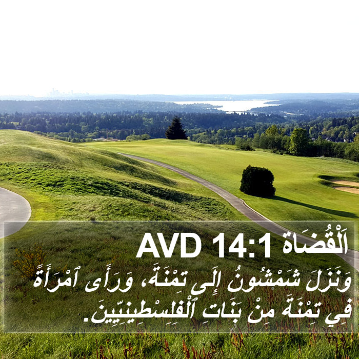 اَلْقُضَاة 14:1 AVD Bible Study