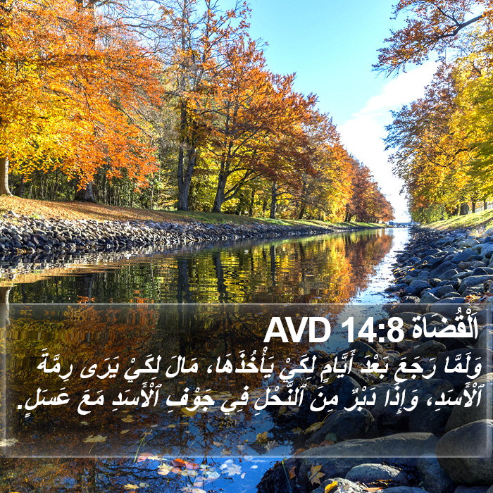 اَلْقُضَاة 14:8 AVD Bible Study