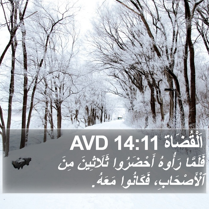 اَلْقُضَاة 14:11 AVD Bible Study