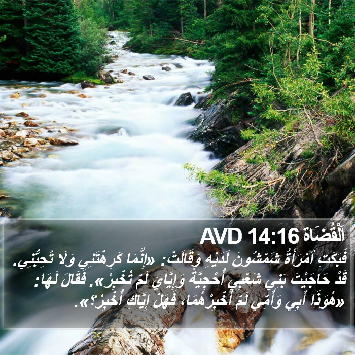 اَلْقُضَاة 14:16 AVD Bible Study