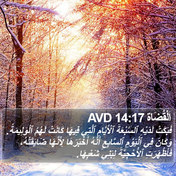 اَلْقُضَاة 14:17 AVD Bible Study