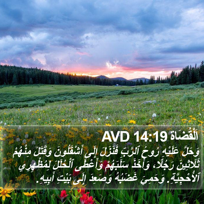 اَلْقُضَاة 14:19 AVD Bible Study