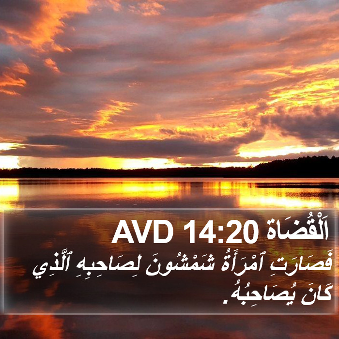 اَلْقُضَاة 14:20 AVD Bible Study