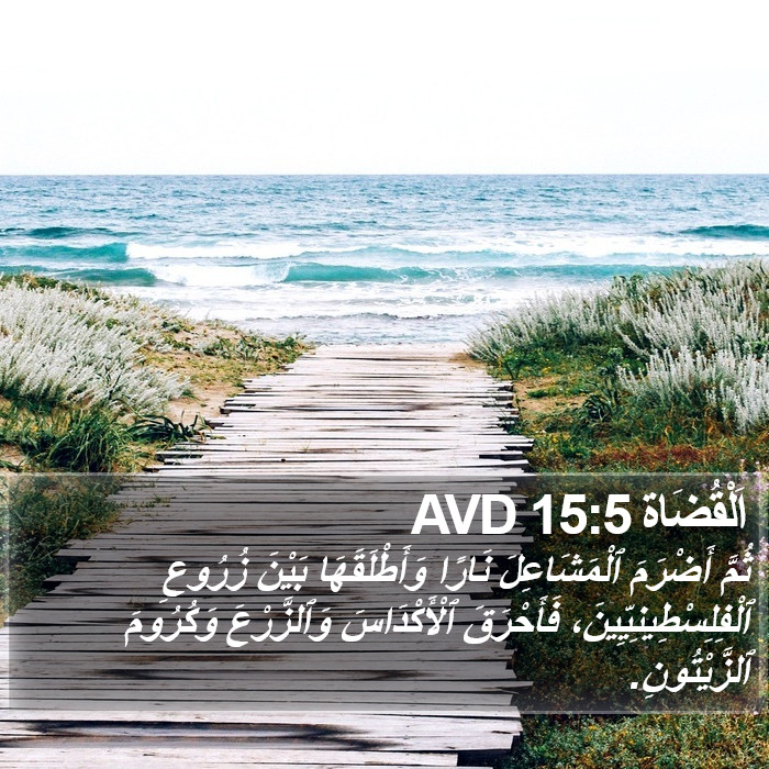 اَلْقُضَاة 15:5 AVD Bible Study