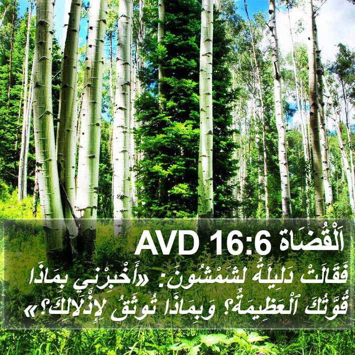 اَلْقُضَاة 16:6 AVD Bible Study