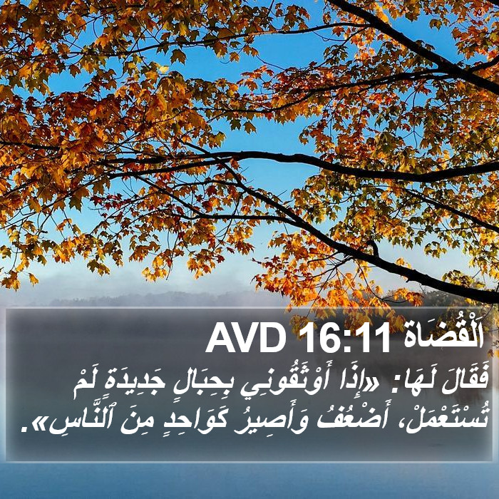 اَلْقُضَاة 16:11 AVD Bible Study