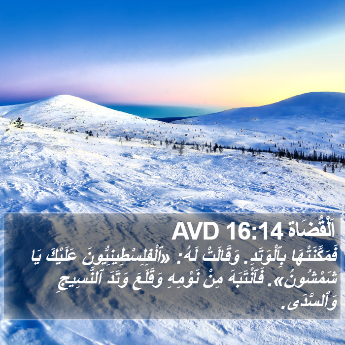 اَلْقُضَاة 16:14 AVD Bible Study