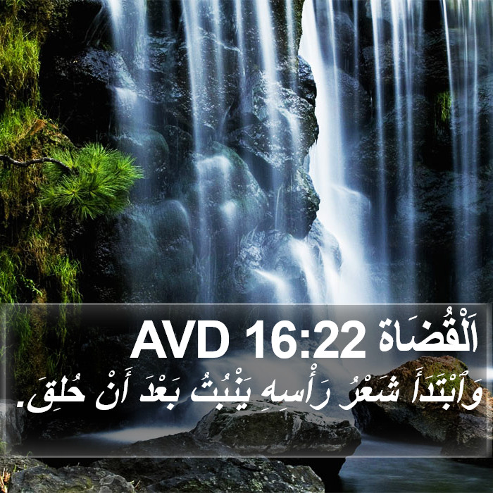 اَلْقُضَاة 16:22 AVD Bible Study