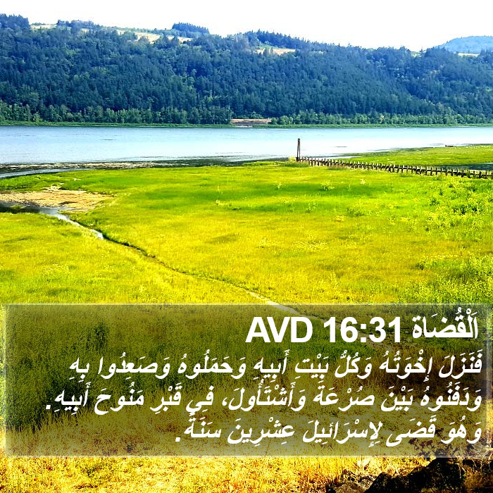 اَلْقُضَاة 16:31 AVD Bible Study