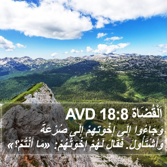 اَلْقُضَاة 18:8 AVD Bible Study