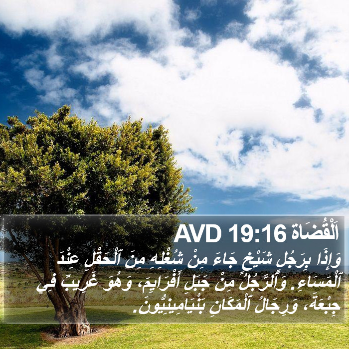 اَلْقُضَاة 19:16 AVD Bible Study