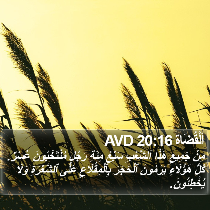 اَلْقُضَاة 20:16 AVD Bible Study