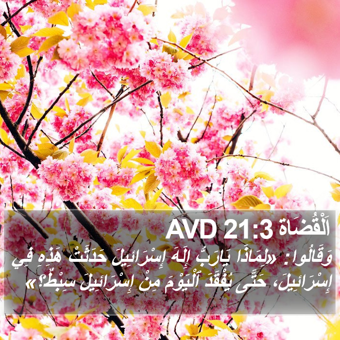 اَلْقُضَاة 21:3 AVD Bible Study