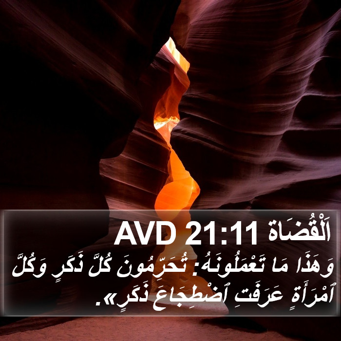 اَلْقُضَاة 21:11 AVD Bible Study