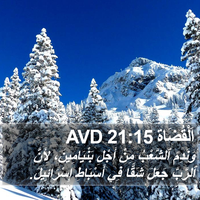 اَلْقُضَاة 21:15 AVD Bible Study