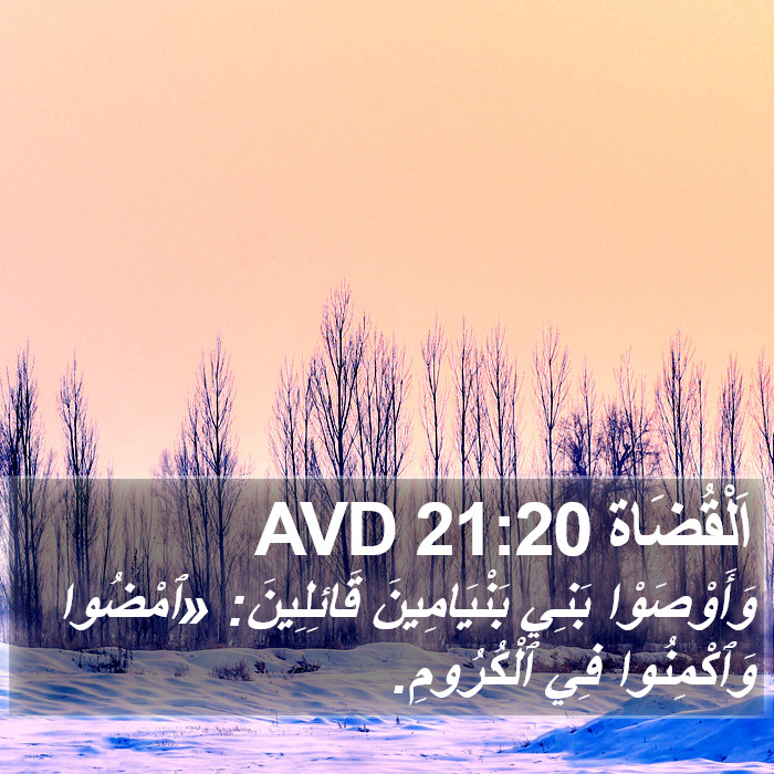 اَلْقُضَاة 21:20 AVD Bible Study