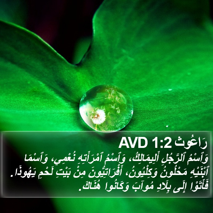 رَاعُوث 1:2 AVD Bible Study