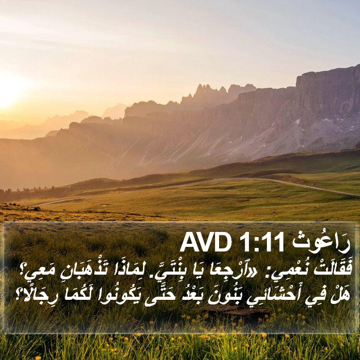 رَاعُوث 1:11 AVD Bible Study