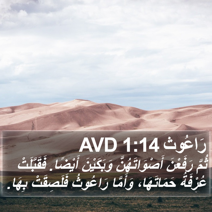 رَاعُوث 1:14 AVD Bible Study