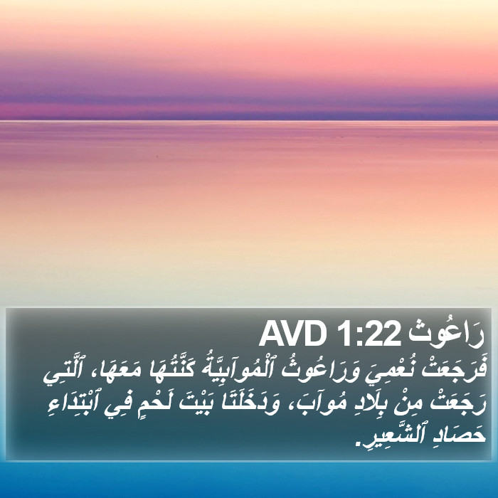 رَاعُوث 1:22 AVD Bible Study