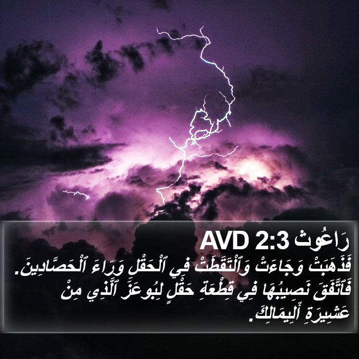 رَاعُوث 2:3 AVD Bible Study