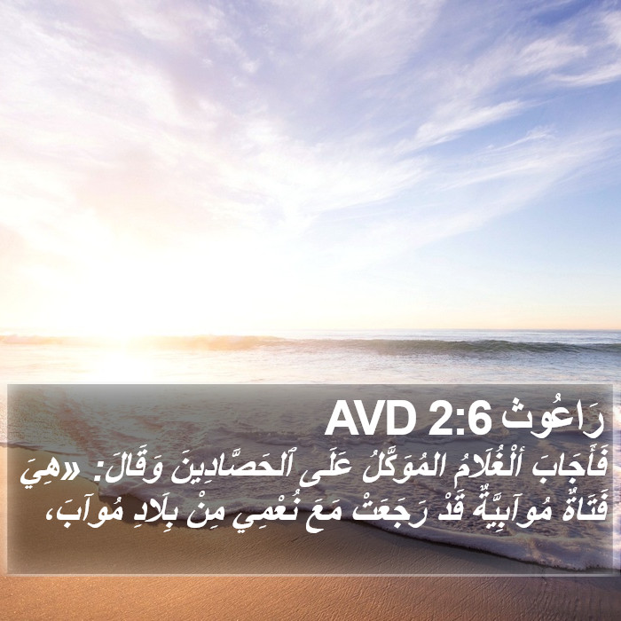 رَاعُوث 2:6 AVD Bible Study